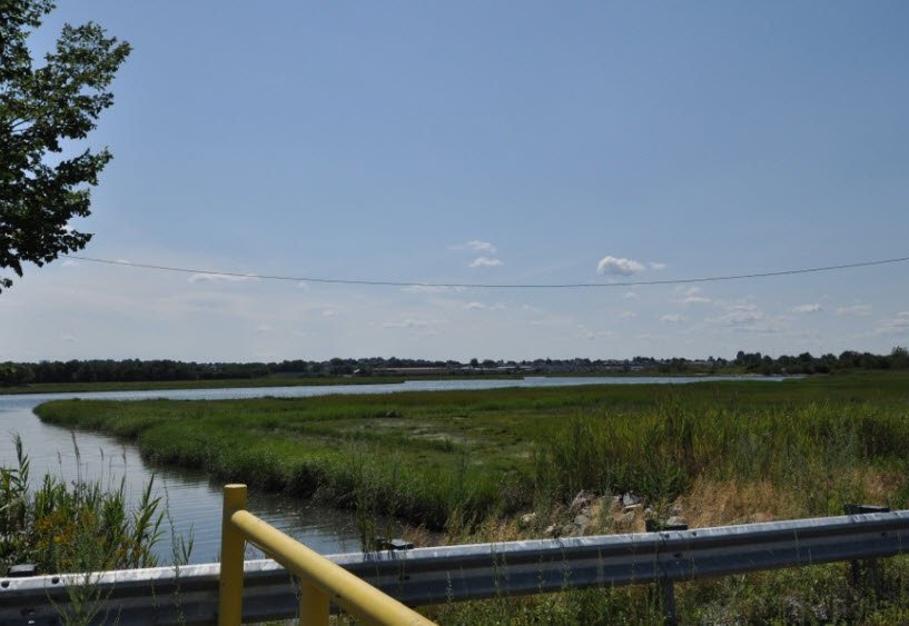 Rumney Marsh Reservation, Massachusetts, USA